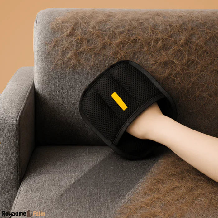 Shopelian Gant anti-poils