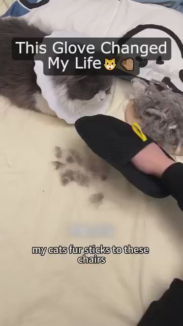 Charger la vidéo : 